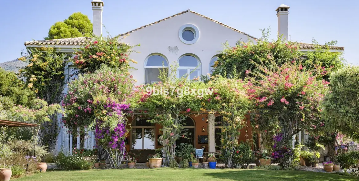 Venta de finca - cortijo en Gaucín 26