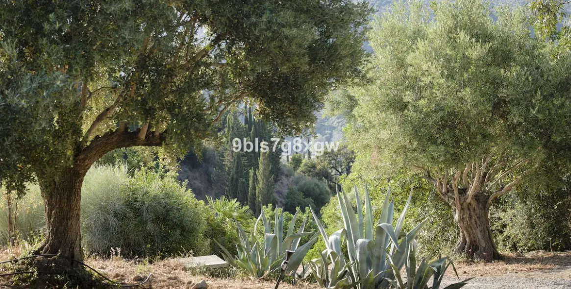 Venta de finca - cortijo en Gaucín 34
