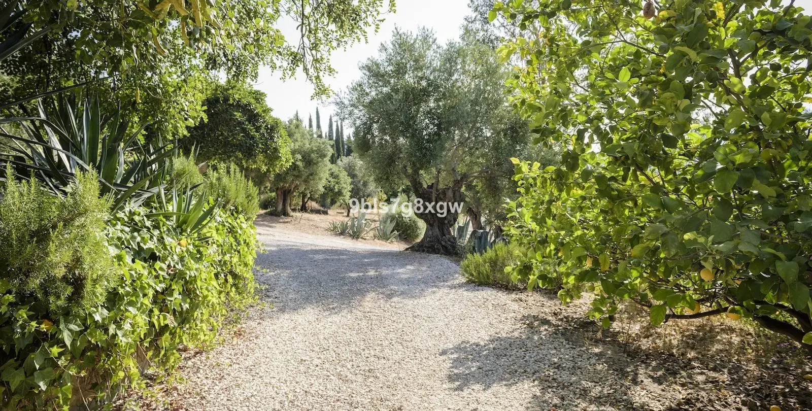 Продажа финки в Gaucín 33
