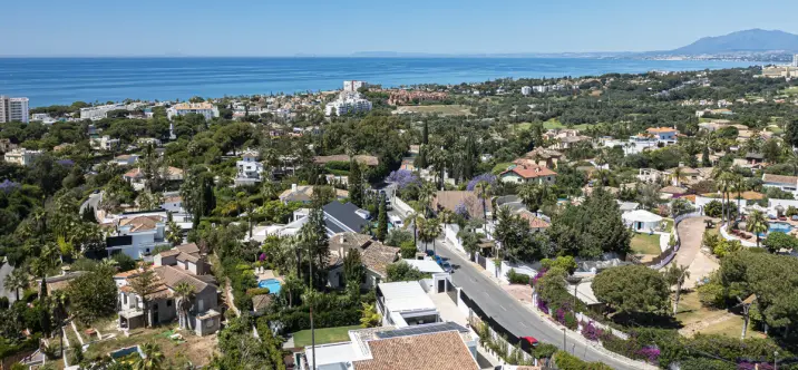 Detached villa R4593358 3