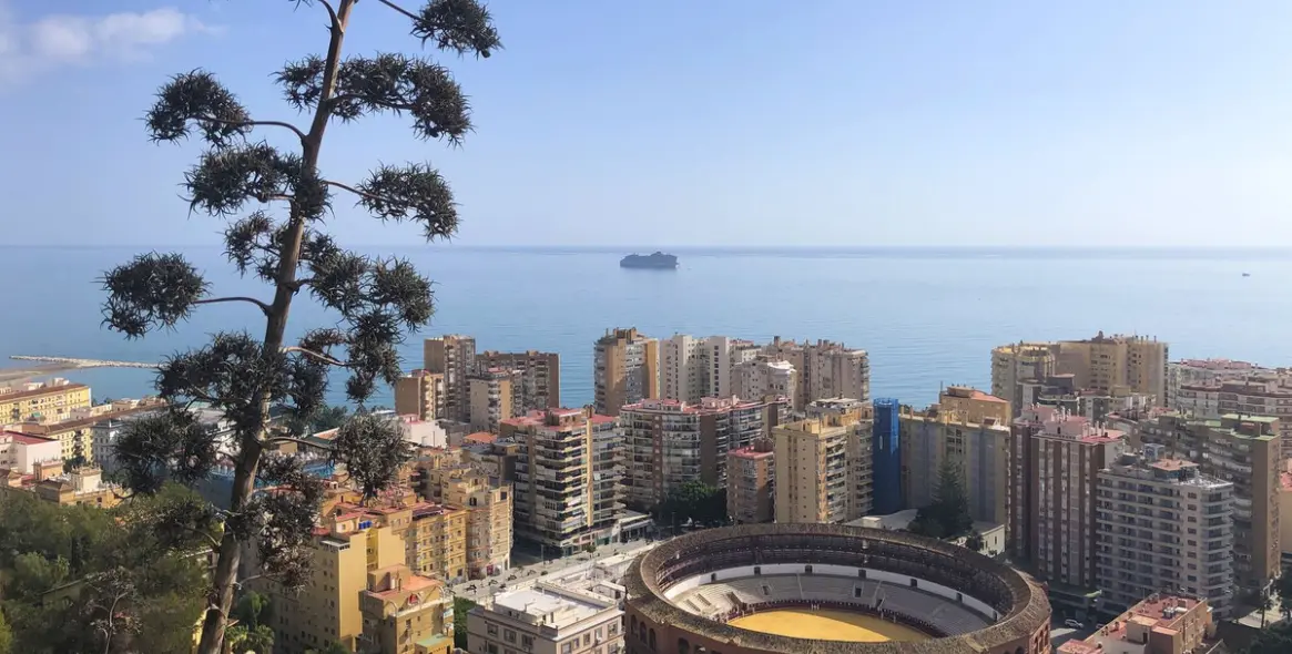 Продажа коммерческого помещения в Centro Histórico 3