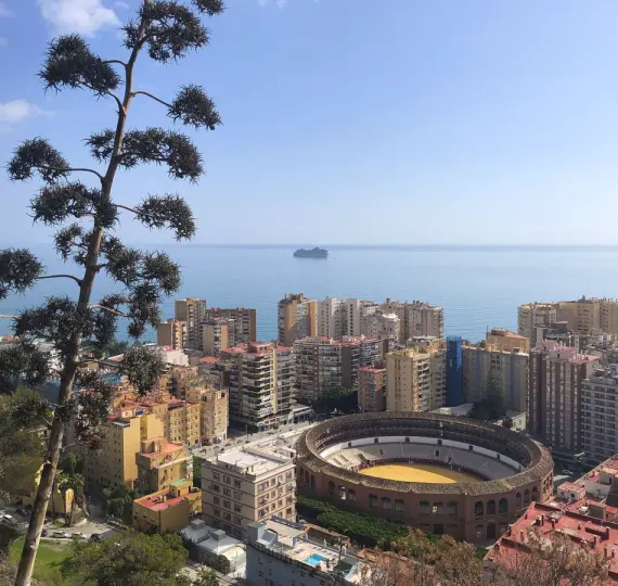 Продажа коммерческого помещения в Centro Histórico