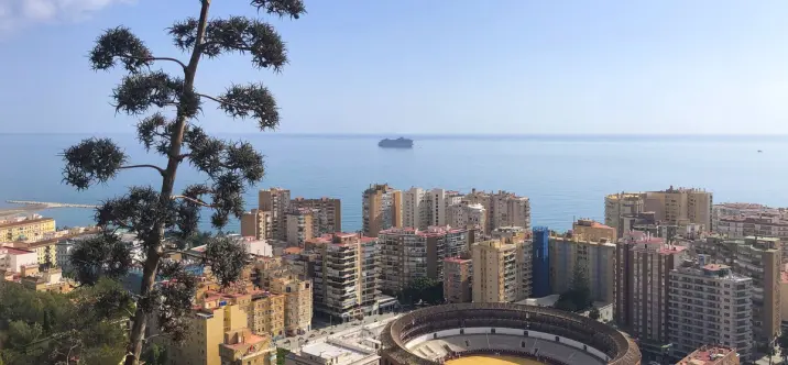 Продажа коммерческого помещения в Centro Histórico 2