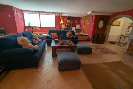 Image 8 thumb