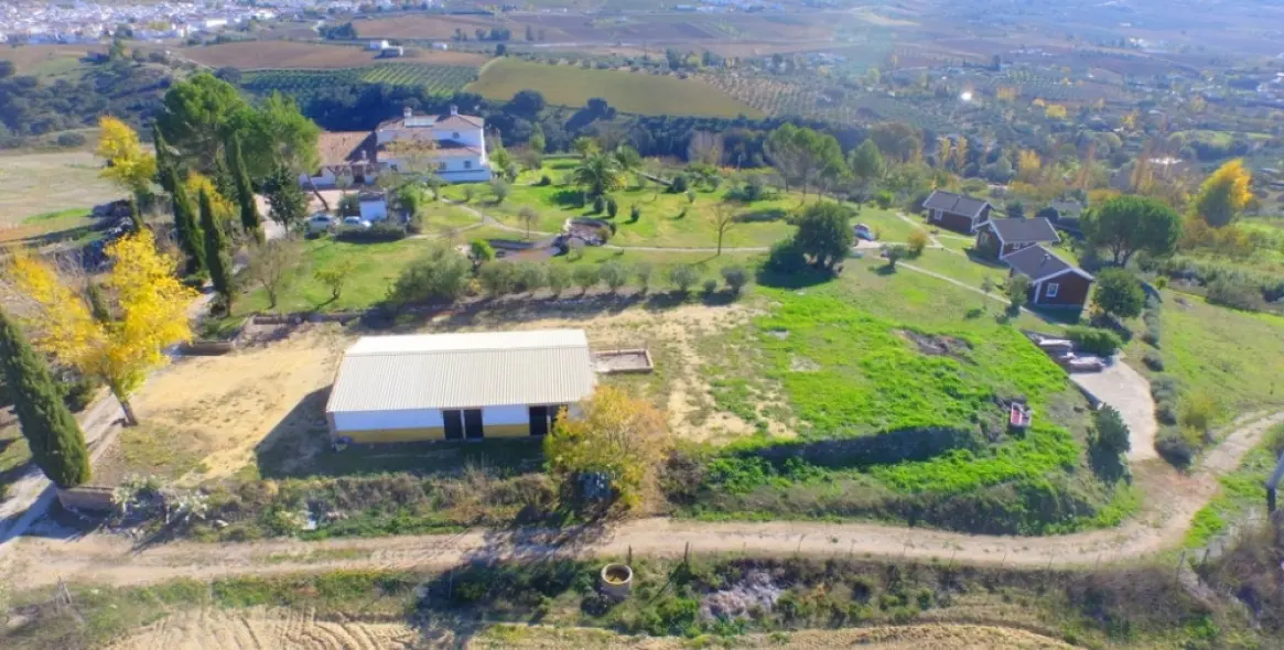 Venta de finca - cortijo en Ronda 3