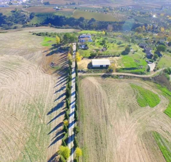 Продажа финки в Ronda