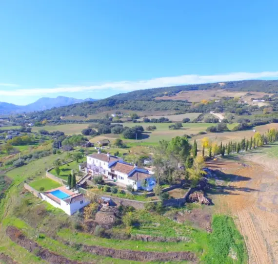 Продажа финки в Ronda