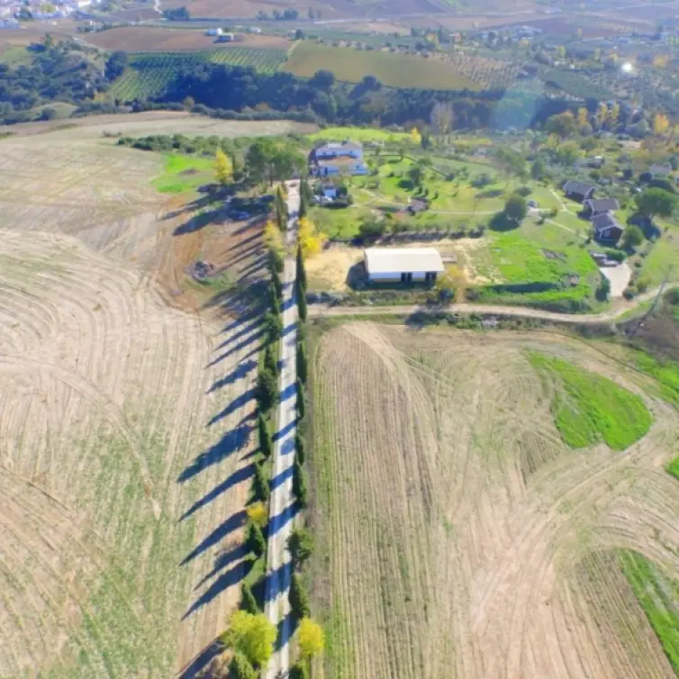 Sale of finca - cortijo in Ronda