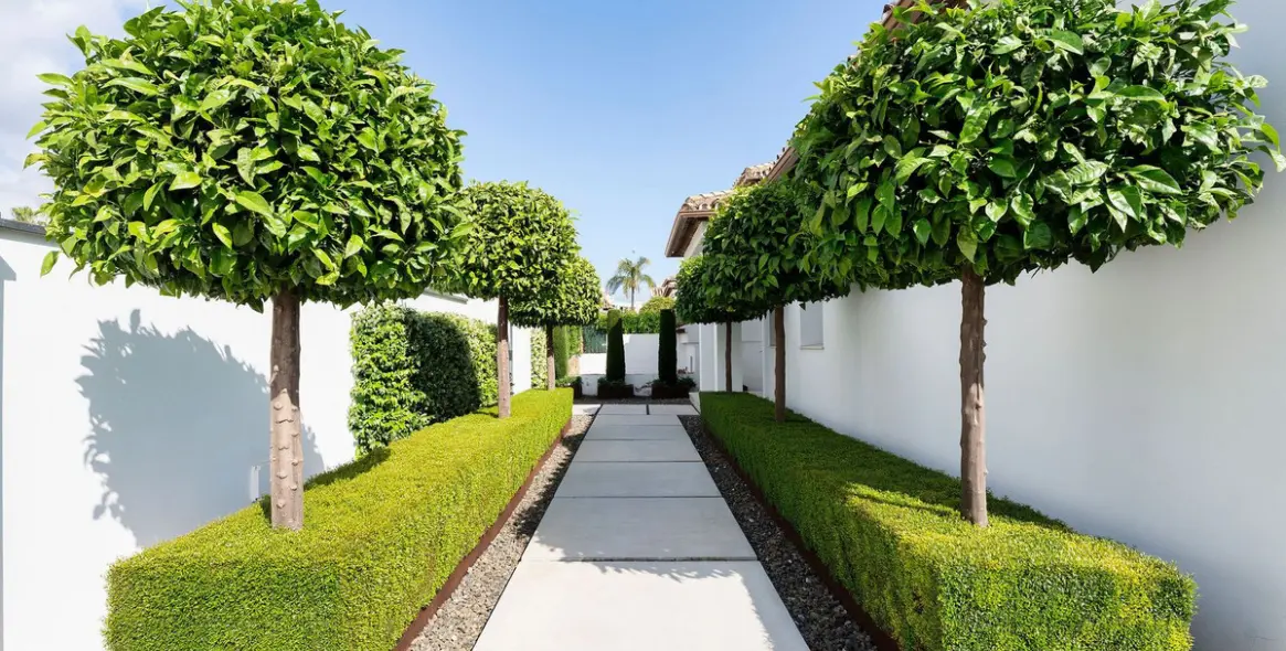 Sale of detached villa in Nueva Andalucía 35