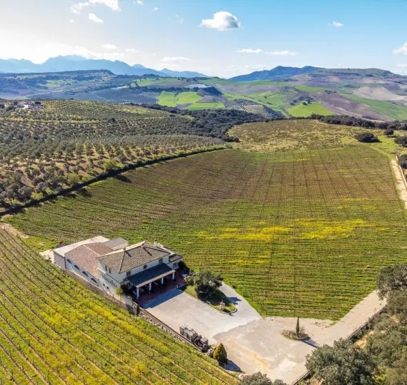 Venta de parcela residencial en Ronda