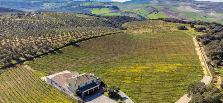 Venta de parcela residencial en Ronda 1