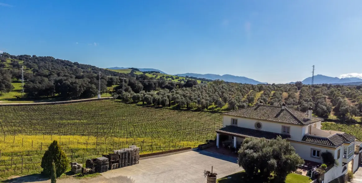 Venta de parcela residencial en Ronda 8