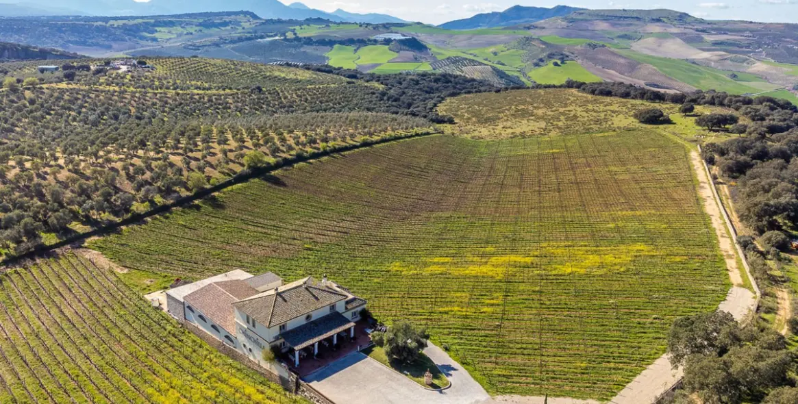 Venta de parcela residencial en Ronda 2