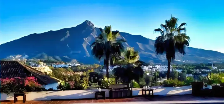 Venta de villa independiente en Nueva Andalucía 0