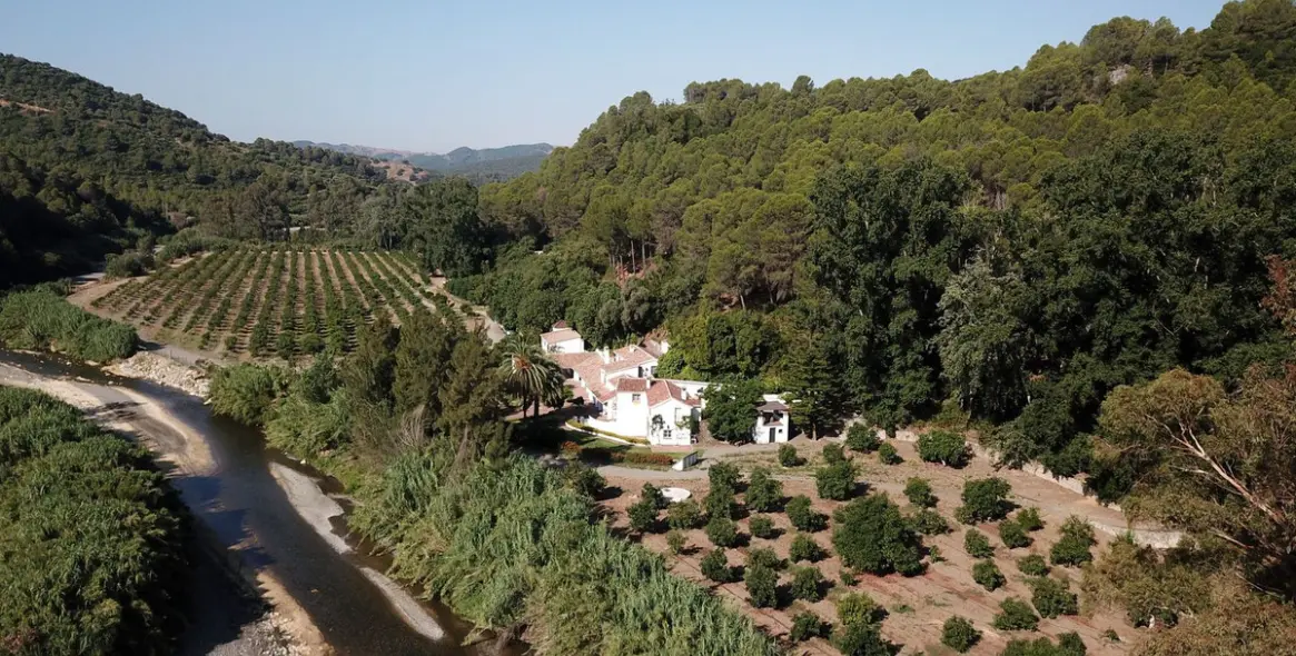 Sale of finca - cortijo in Gaucín 2