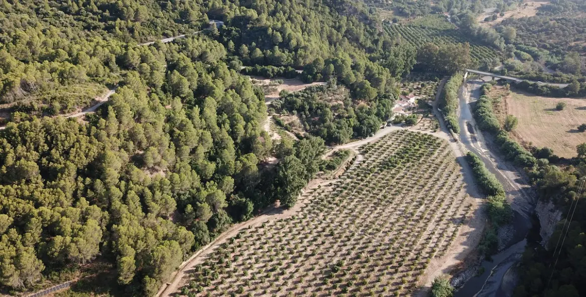 Sale of finca - cortijo in Gaucín 3