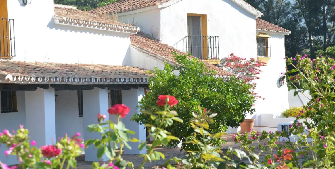 Sale of finca - cortijo in Gaucín 9