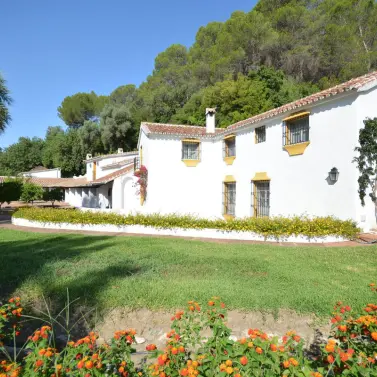 Sale of finca - cortijo in Gaucín