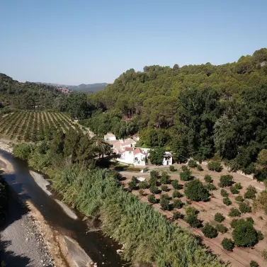 Sale of finca - cortijo in Gaucín