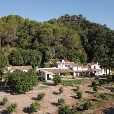 Sale of finca - cortijo in Gaucín