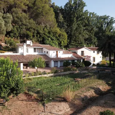 Sale of finca - cortijo in Gaucín