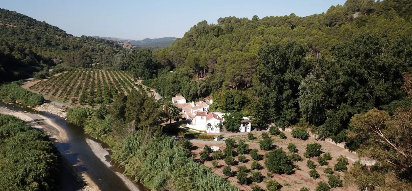 Sale of finca - cortijo in Gaucín 1