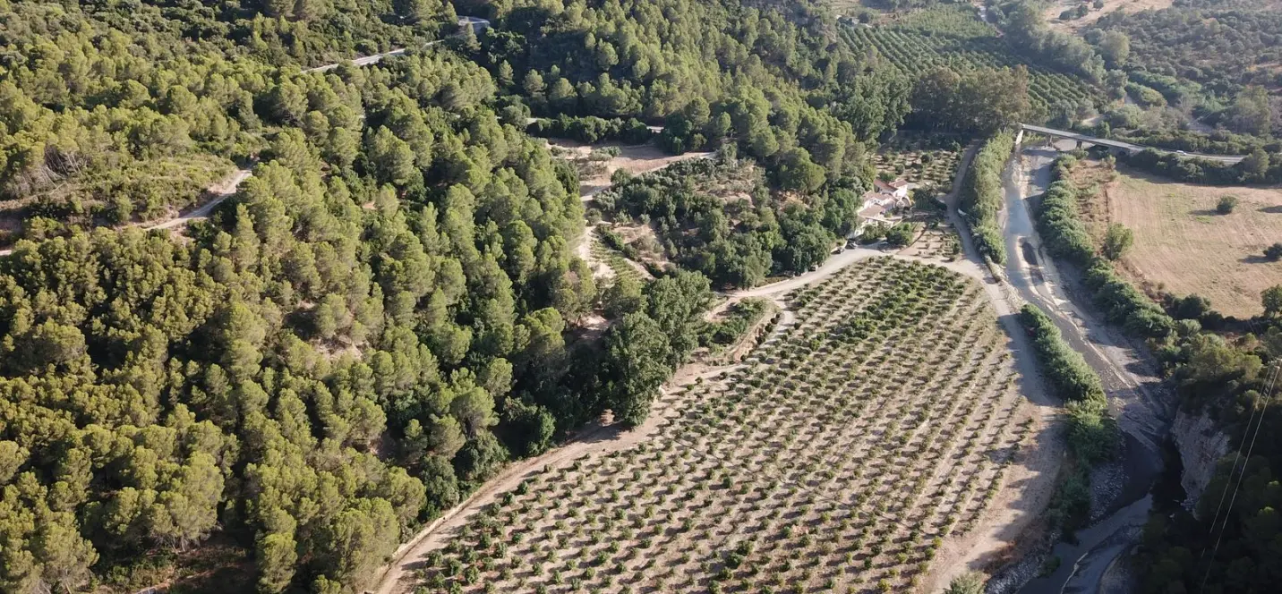 Sale of finca - cortijo in Gaucín 2