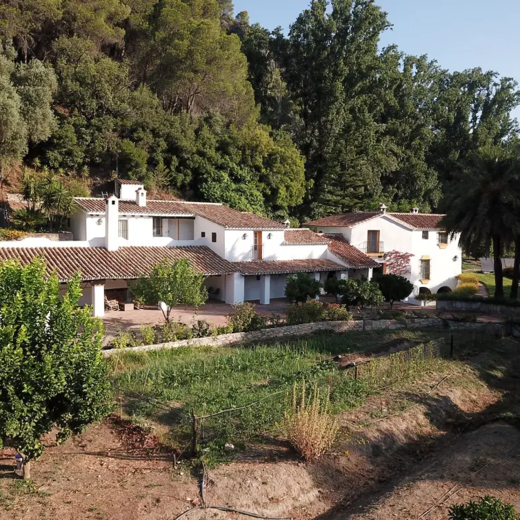 Sale of finca - cortijo in Gaucín