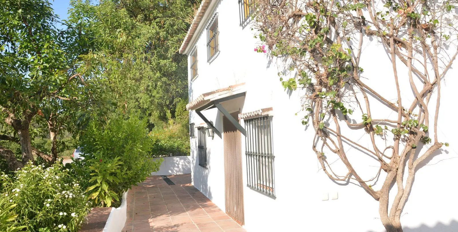 Sale of finca - cortijo in Gaucín 6