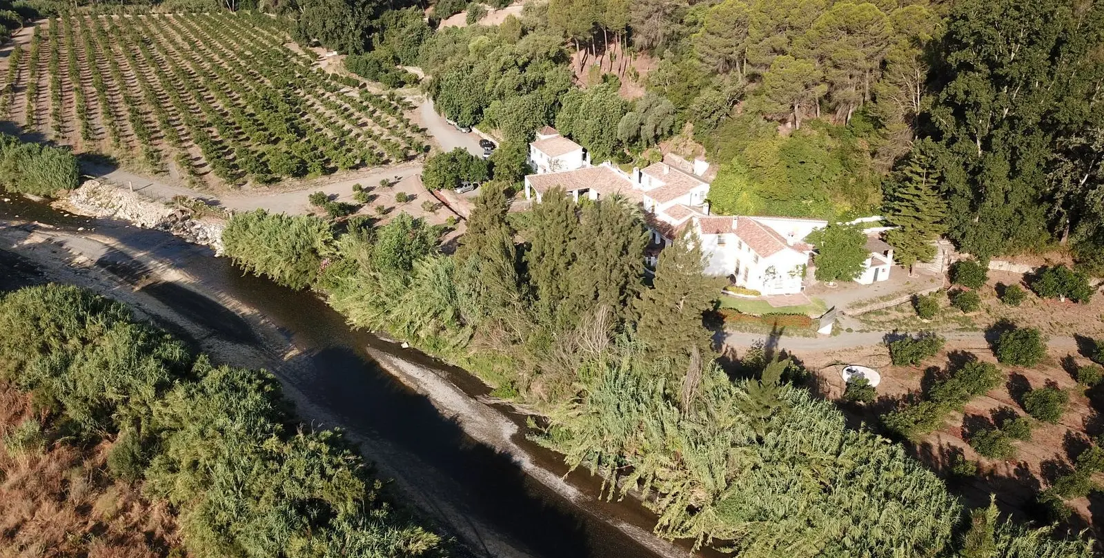 Sale of finca - cortijo in Gaucín 54