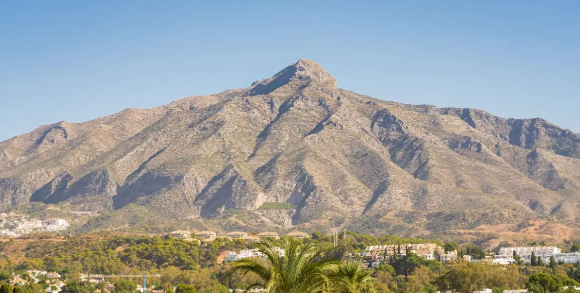 Sale of detached villa in Las Brisas 40