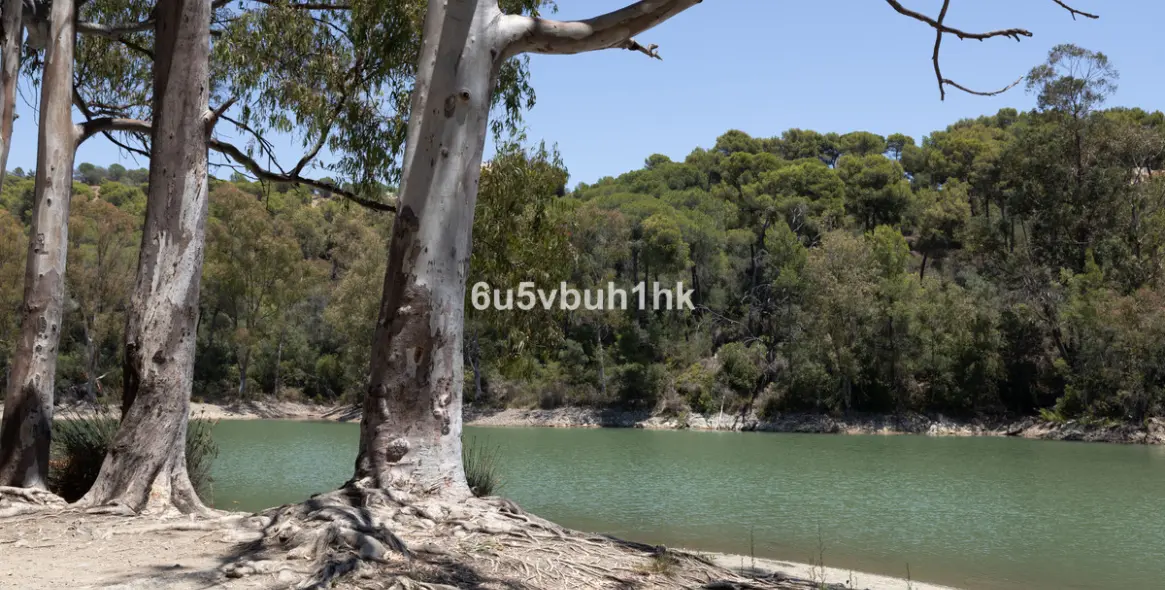 Sale of penthouse duplex in Marbella 9