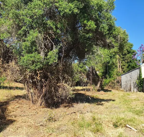 Venta de parcela residencial en San Pedro de Alcántara