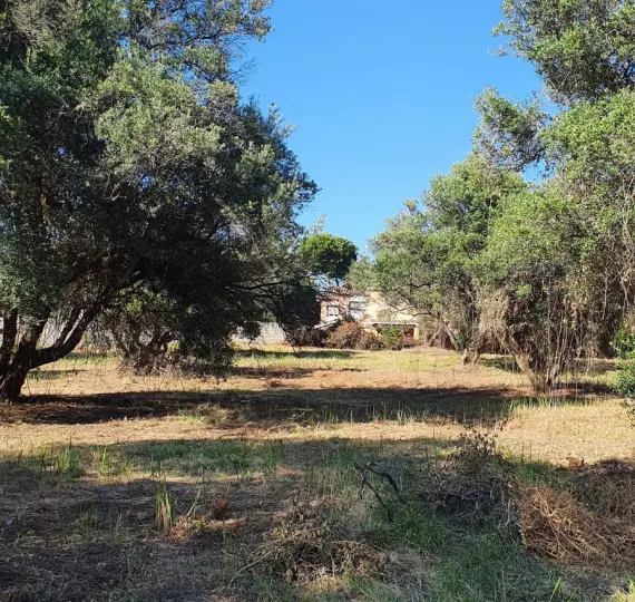 Venta de parcela residencial en San Pedro de Alcántara