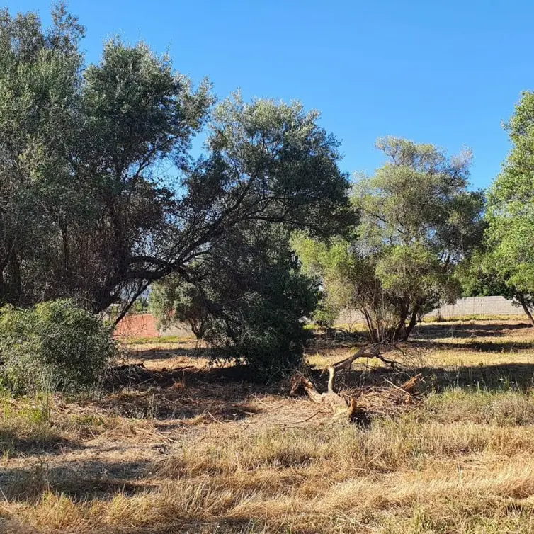 Продажа  жилого участка в San Pedro de Alcántara