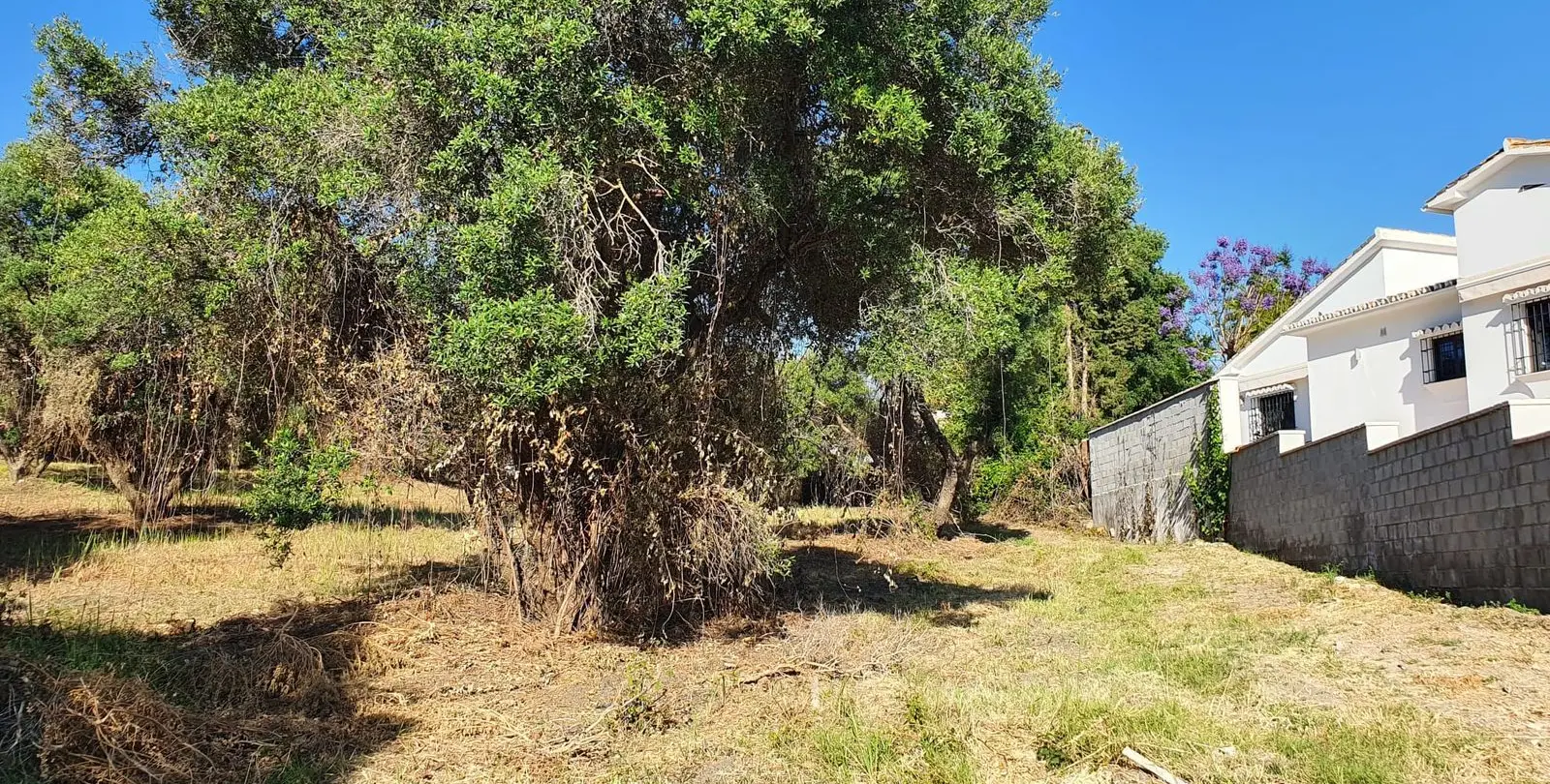Venta de parcela residencial en San Pedro de Alcántara 3