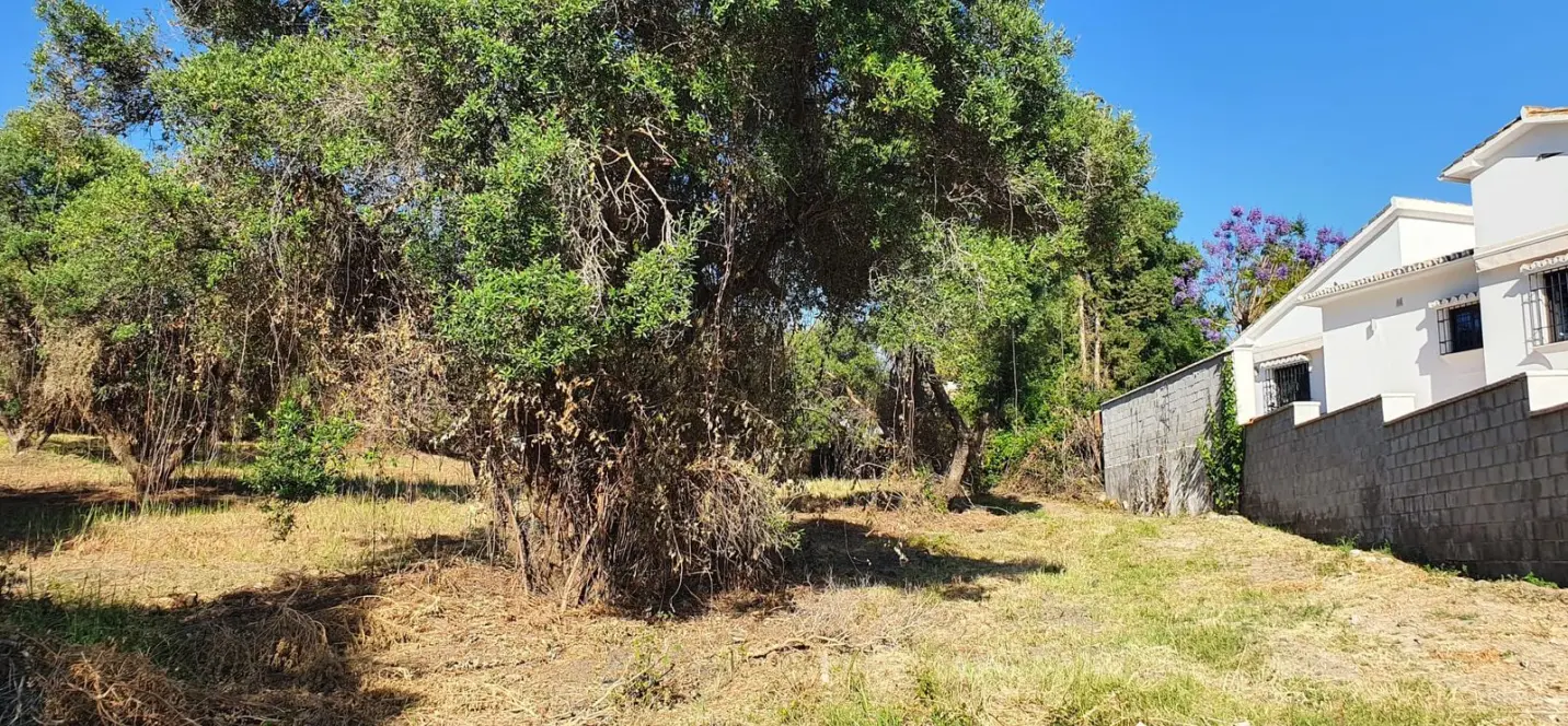Продажа  жилого участка в San Pedro de Alcántara 2