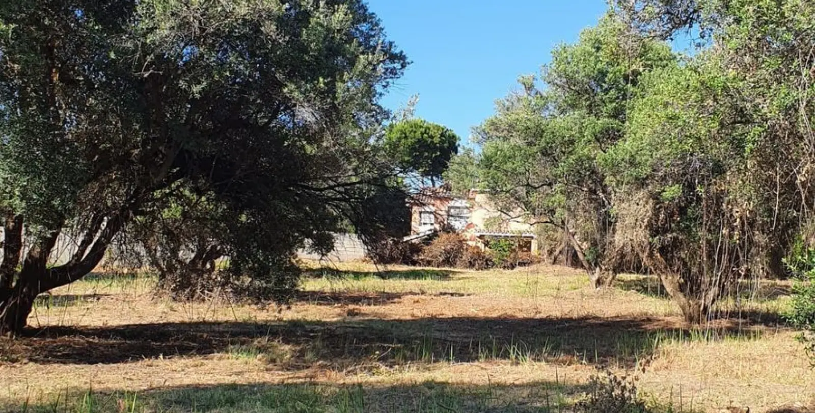Venta de parcela residencial en San Pedro de Alcántara 4