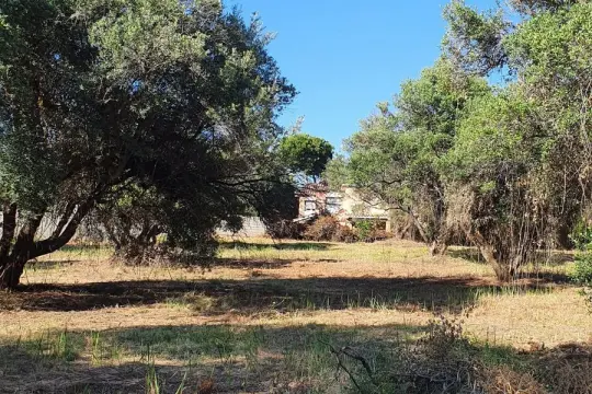 Image 4 thumb