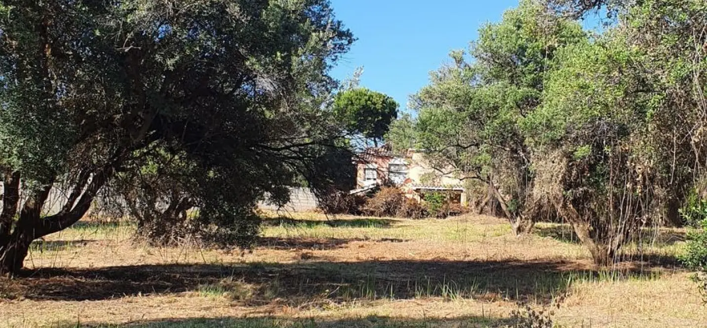 Продажа  жилого участка в San Pedro de Alcántara 3