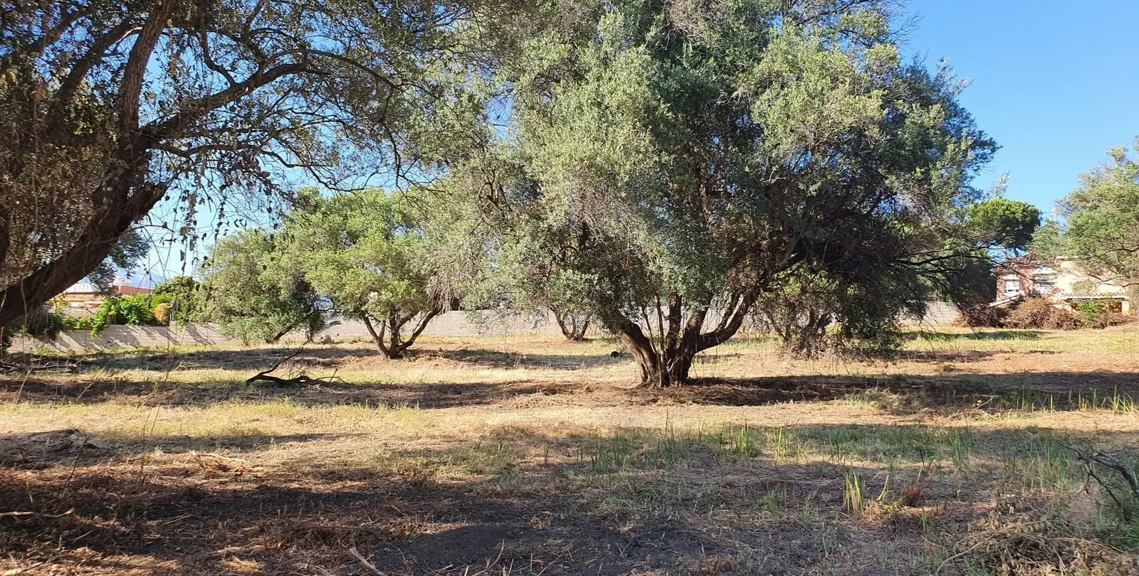Venta de parcela residencial en San Pedro de Alcántara 5