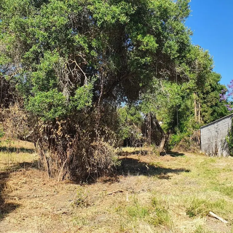 Продажа  жилого участка в San Pedro de Alcántara