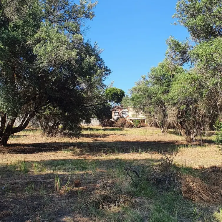 Продажа  жилого участка в San Pedro de Alcántara