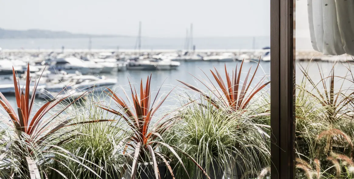 Venta de dúplex en Puerto Banús 1