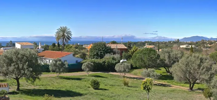 Sale of detached villa in Elviria 0
