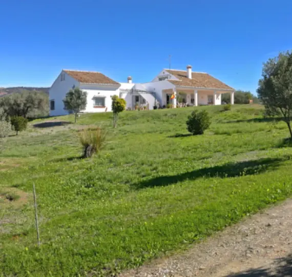 Sale of detached villa in Elviria