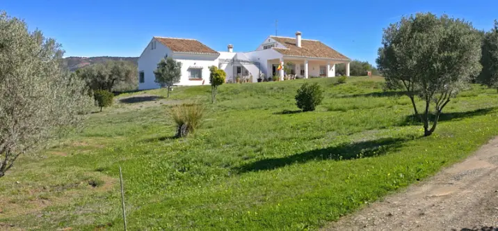 Sale of detached villa in Elviria 1