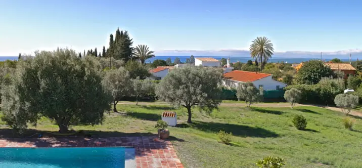 Sale of detached villa in Elviria 2