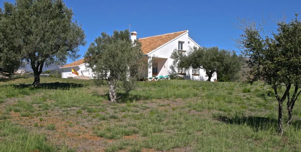 Sale of detached villa in Elviria 9