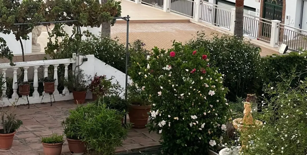 Sale of detached villa in Torrequebrada 19